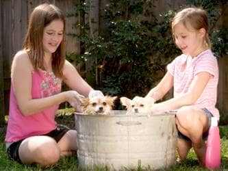 Teaching Responsibility, kids washing the dogs