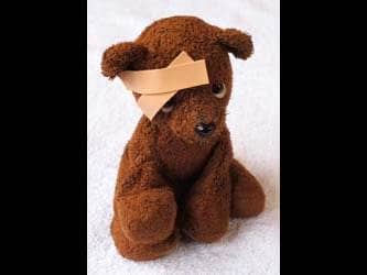 hurt teddy bear band-aid