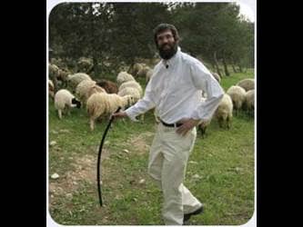 herding sheep sheppard pilgrimage Israel