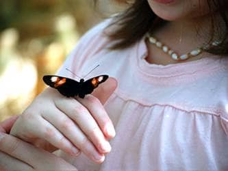 Teaching respect - girl with butterfly