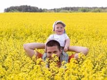 Father and baby wading through a field of yellow flowers