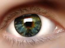 Close-up green amber eye