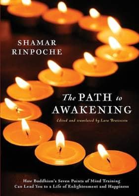 The Path to Awakening Book Cover