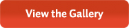 View the Gallery