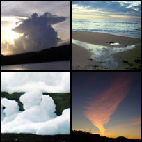 Angel Sightings