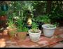 Organic Gardening