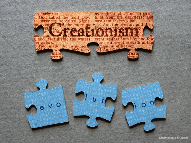 creation, evolution, debate