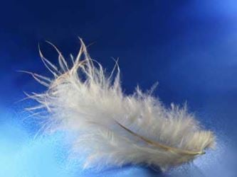 Angels Guide to Love and Dating