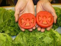 Angel Sightings tomato angels