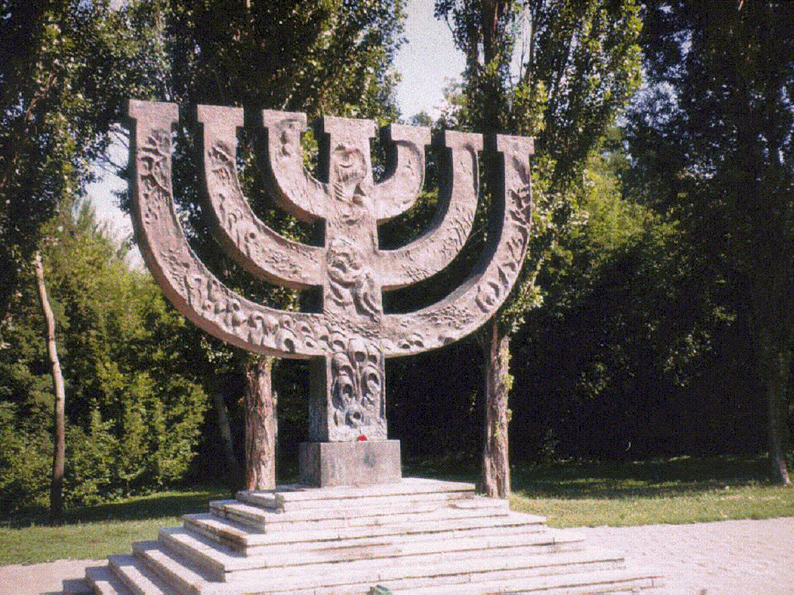 Slide Image