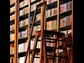 Hit the Bookstore (or Library)