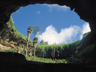 Slide Image