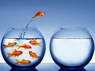 Goldfish jumping out of its bowl