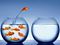 Goldfish jumping out of its bowl