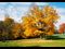 fall again