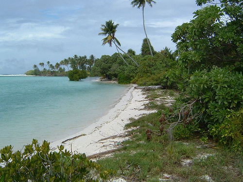 Slide Image