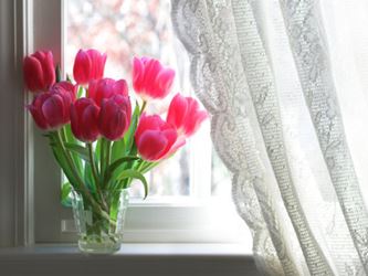 Pink tulips in a vase on a windowsill