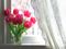 Pink tulips in a vase on a windowsill