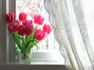 Pink tulips in a vase on a windowsill
