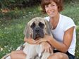 Responsibility for Animals, pet owner