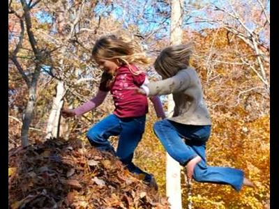 play in the leaves