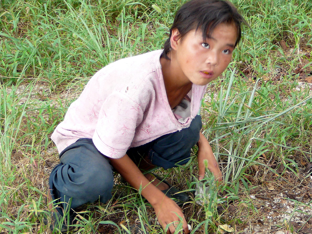 Slide Image