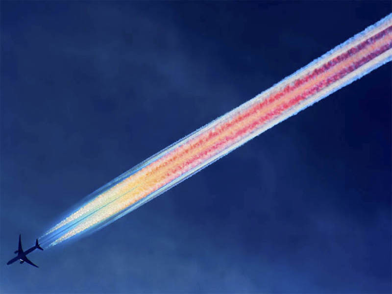 Slide Image