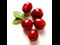 cranberries