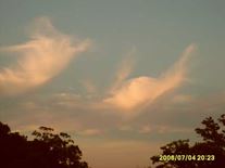 Angel Sightings