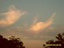 Angel Sightings