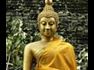 Beliefnet group Celebrating Buddhist Holidays