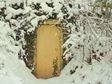 Winter Depression Busters