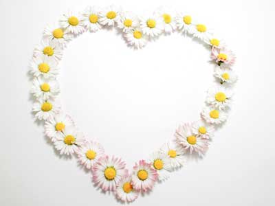 Angels Guide to Love and Dating