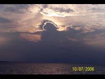 Angel Sightings