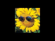 10 Tips for a Spiritual Summer