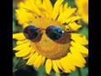 10 Tips for a Spiritual Summer