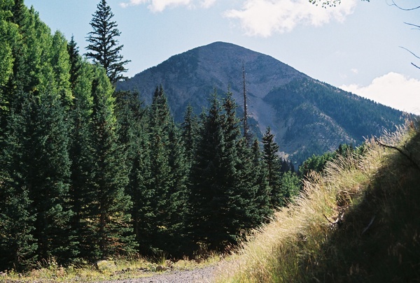 Slide Image