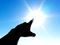 Finger pointing to the sun