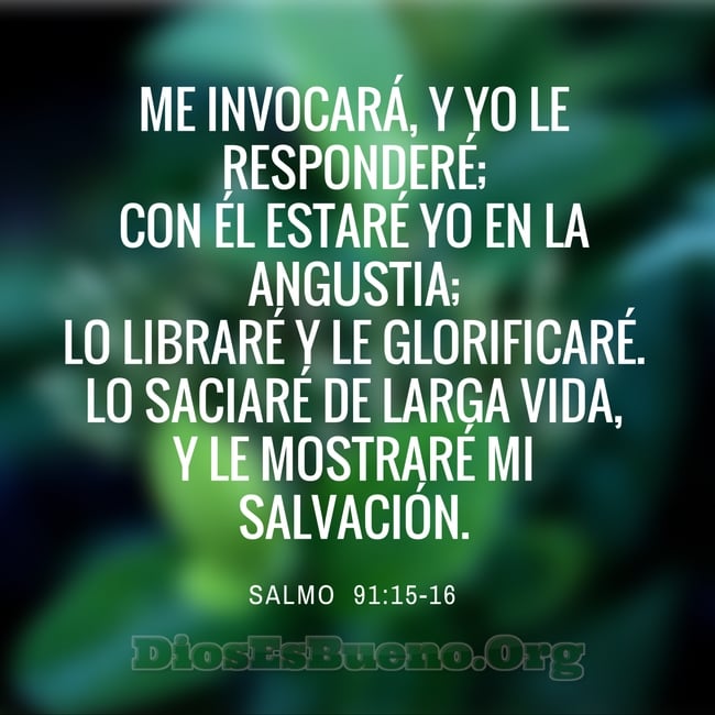 Dir&eacute; yo a Jehov&aacute;: Esperanza m&iacute;