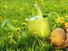 Seven Steps to Growing a Garden of Prayer