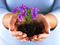 Hand holding purple flowers