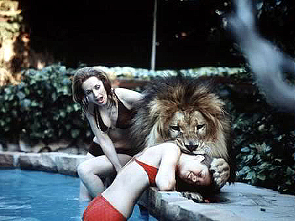 Slide Image