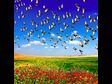Wayne Dyer's 10 Ways to Go with the Flow