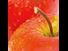 7 seven super foods bible apple