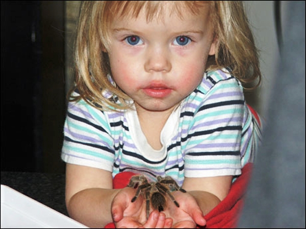 Slide Image