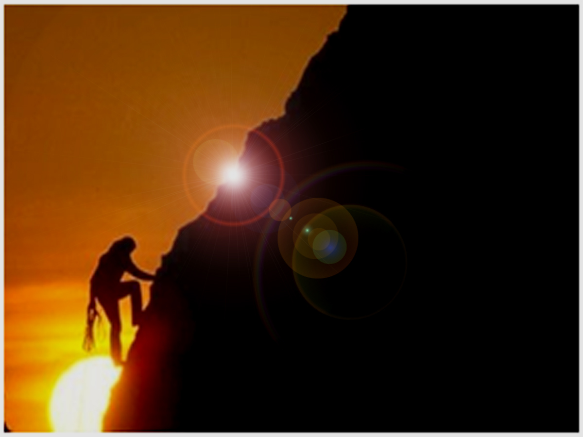 Slide Image