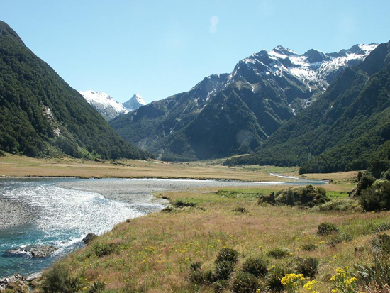 Slide Image