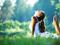 Upward Facing Dog in Grass