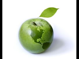 Quiz: How Green Are You?