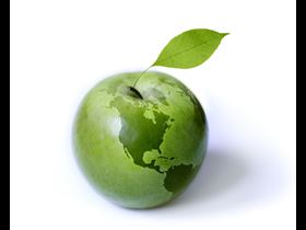Eco Quiz, How Green Are You? Green Living
